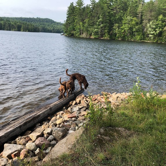 Meet your Posher, Carla - Picture 1 of 1